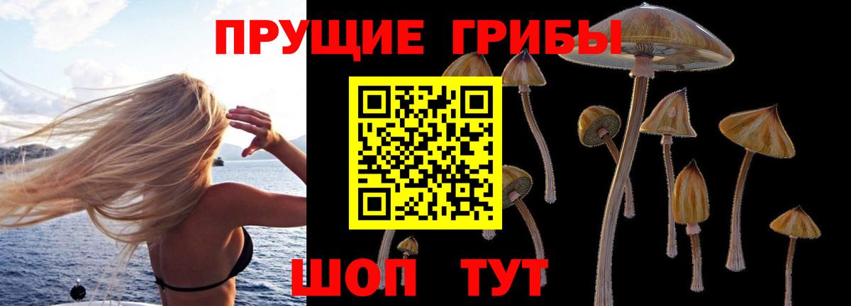 Каменка  наркошоп  Вход с VPN  Галлюциногенные грибы MAGIC MUSHROOMS 